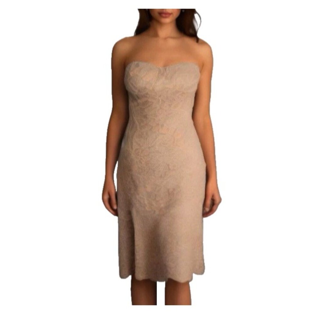 NSR Midi Dress XS Pink Gray Lace Corset A Line Tea Party Wedding Cruise NEW
